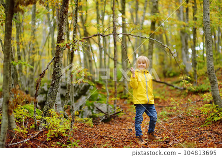 Elementary school boy walks forest in Lovcen National Park, Montenegro on an autumn day. An inquisitive boy exploring nature. Tourism and travel for family with kids. 104813695