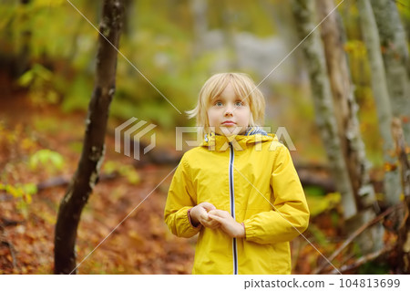 Elementary school boy walks in the forest on an autumn day. An inquisitive boy exploring nature. Tourism and travel for family with kids. 104813699