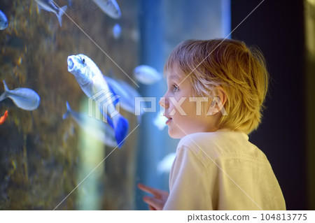 Little boy watches fishes in aquarium. Child exploring nature. Elementary student is on excursion in seaquarium. 104813775