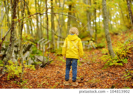 Elementary school boy walks forest in Lovcen National Park, Montenegro on an autumn day. An inquisitive boy exploring nature. Tourism and travel for family with kids. Elementary school boy walks forest in Lovcen National Park, Montenegro on an autumn day. An inquisitive boy exploring nature. Tourism and travel for family with kids. 104813902