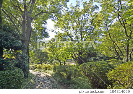 Arisugawa宮紀念公園 104814069