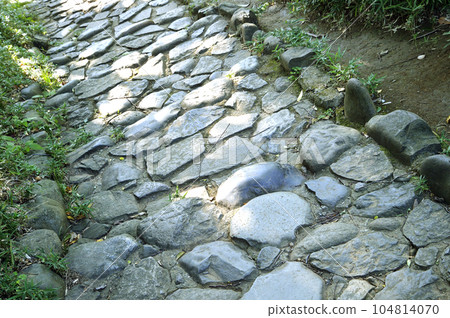 Arisugawa Palace Memorial Park Arisugawa Palace Memorial Park 104814070