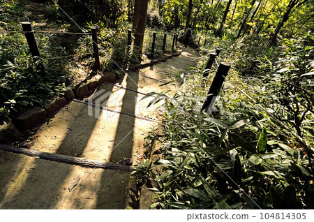 Arisugawa Palace Memorial Park 104814305