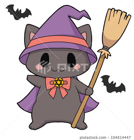 witch cat 104814447
