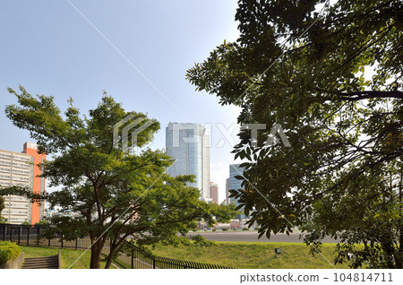 都立青山公園 104814711