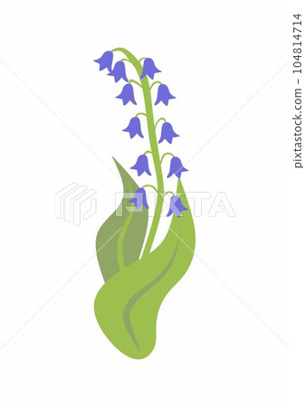 branch blue hand Campanula bell on white background, isolated vector 104814714