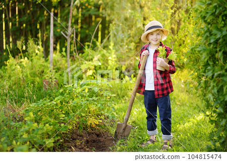 Little boy holding seedling of salad lettuce in pots and shovel on the domestic garden at summer sunny day. Family gardening activity with little kid Little boy holding seedling of salad lettuce in pots and shovel on the domestic garden at summer sunny day. Family gardening activity with little kid 104815474