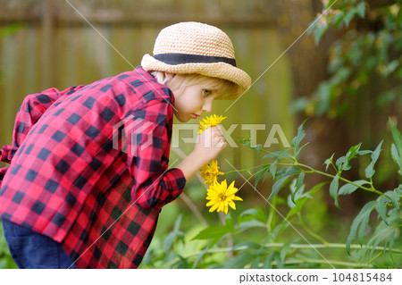 Little boy in a straw hat sniffing a scented yellow flower in domestic garden. Child having fun in the backyard on warm sunny summer day. Summertime holidays in the village. Little boy in a straw hat sniffing a scented yellow flower in domestic garden. Child having fun in the backyard on warm sunny summer day. Summertime holidays in the village. 104815484