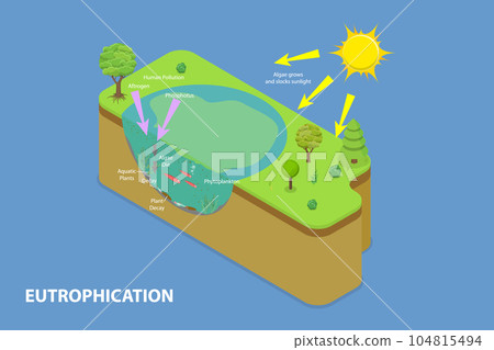3D Isometric Flat Vector Conceptual Illustration of Eutrophication 104815494