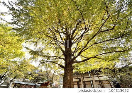 麻布山善福寺 麻布山善福寺 104815652