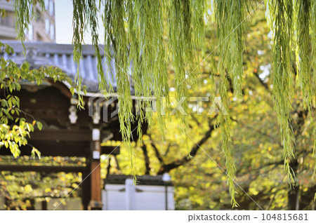 Azabuyama Zempukuji Temple Azabuyama Zempukuji Temple 104815681