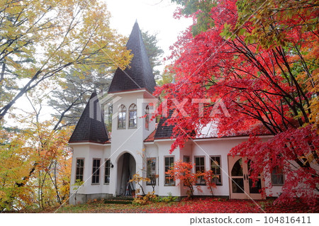 Colorful trees and stylish buildings 104816411