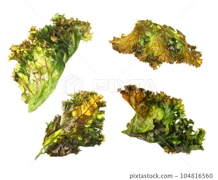 Set of tasty baked kale chips on white background 104816560