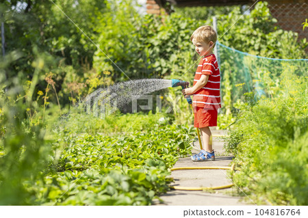 Child watering flowers and plants in garden. Little boy gardening Child watering flowers and plants in garden. Little boy gardening 104816764