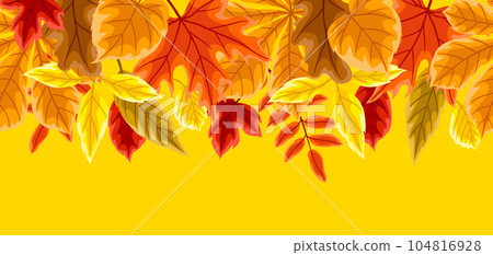 Pattern with autumn leaves. Background with various foliage. 104816928