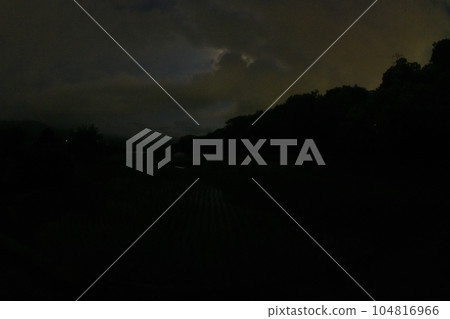 Fireflies dance above the rice paddies in Takegawa-cho, Hokuto City, as darkness approaches Fireflies dance above the rice paddies in Takegawa-cho, Hokuto City, as darkness approaches 104816966