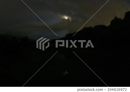 Fireflies dance above the rice paddies in Takegawa-cho, Hokuto City, as darkness approaches 104816972