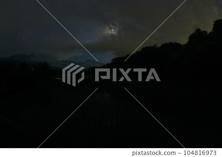 Fireflies dance above the rice paddies in Takegawa-cho, Hokuto City, as darkness approaches 104816973