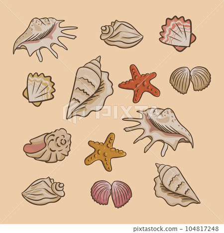 Collection of flat vector seashells 104817248