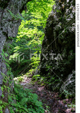 A straight road between huge rocks A straight road between huge rocks 104818253