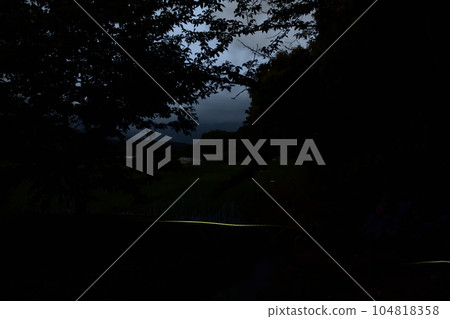 Fireflies dance above the rice paddies in Takegawa-cho, Hokuto City, as darkness approaches 104818358
