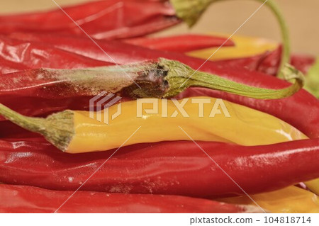 Shrinking and mould chili peppers on wooden background. Rotten chili peppers. Flat design Shrinking and mould chili peppers on wooden background. Rotten chili peppers. Flat design 104818714