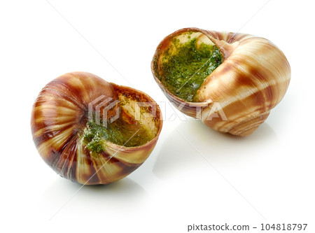 escargot snail stuffed with garlic and parsley butter escargot snail stuffed with garlic and parsley butter 104818797