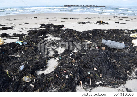 海邊的海藻和垃圾漂浮在海岸 海邊的海藻和垃圾漂浮在海岸 104819106