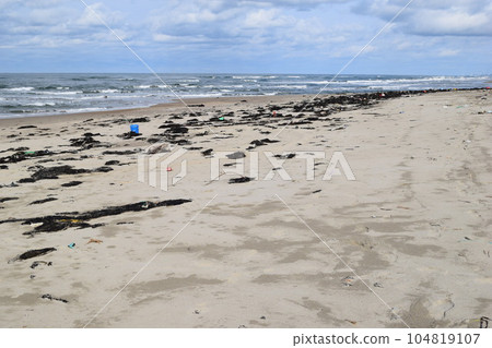 海邊的海藻和垃圾漂浮在海岸 104819107