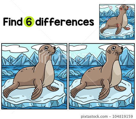 Seal Animal Find The Differences 104819159