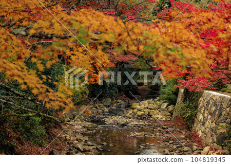 深秋的三原佛寺 秋葉與佛寺川上的飛比壽橋 深秋的三原佛寺 秋葉與佛寺川上的飛比壽橋 104819345
