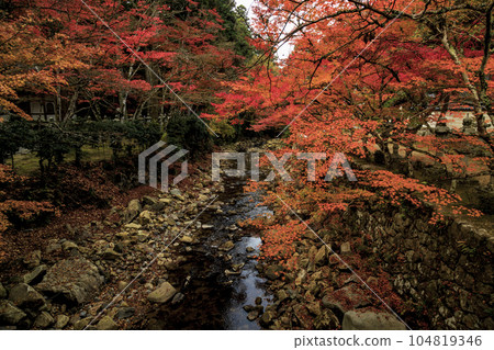 深秋的三原佛寺 佛寺川的秋葉 深秋的三原佛寺 佛寺川的秋葉 104819346