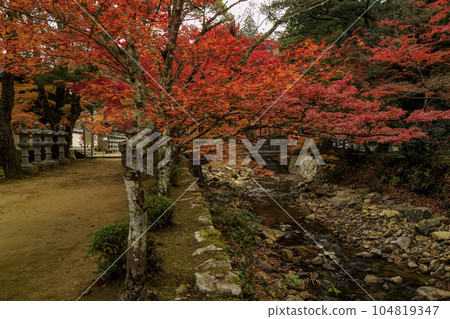 深秋的三原佛寺 佛寺川和京万橋的秋葉 深秋的三原佛寺 佛寺川和京万橋的秋葉 104819347
