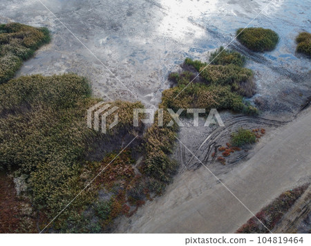 Swamp's natural patterns blend in a mesmerizing display of water Swamp's natural patterns blend in a mesmerizing display of water 104819464