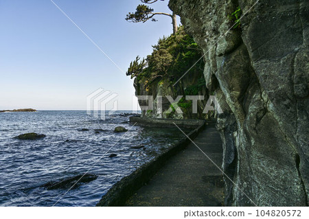 從須崎惠比壽島看到的相模海 從須崎惠比壽島看到的相模海 104820572