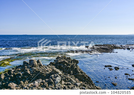 須崎惠比壽島千疊敷 須崎惠比壽島千疊敷 104820585