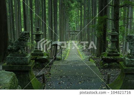 lead to another world lead to another world 104821716