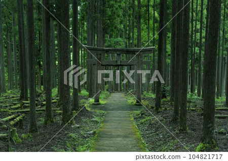 lead to another world 104821717