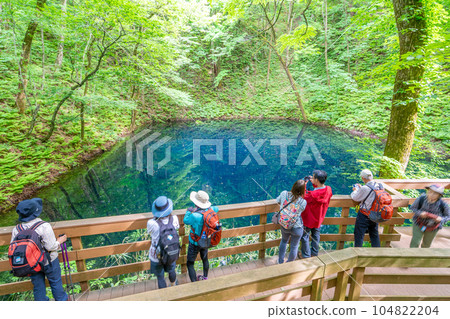 Aoike (Twelve Lakes) A blue pond nurtured by a beech forest Tourists Aoike (Twelve Lakes) A blue pond nurtured by a beech forest Tourists 104822204