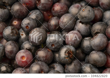 blueberry blueberry 104822820