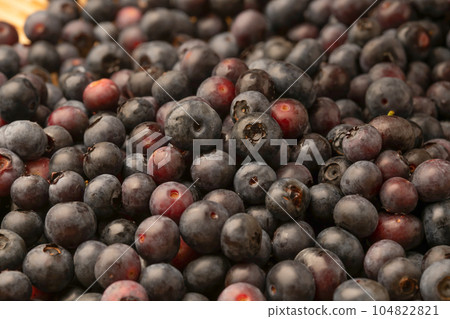 blueberry blueberry 104822821
