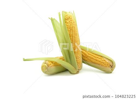 Maize on the cob with leaves over white background Maize on the cob with leaves over white background 104823225