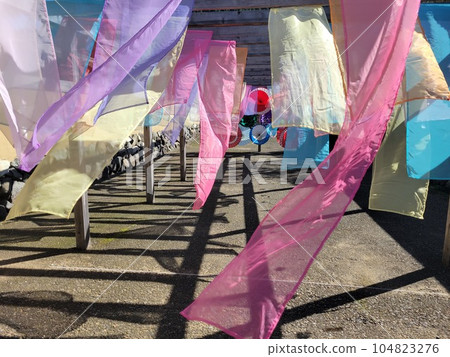 一乘谷朝倉氏遺址 104823276