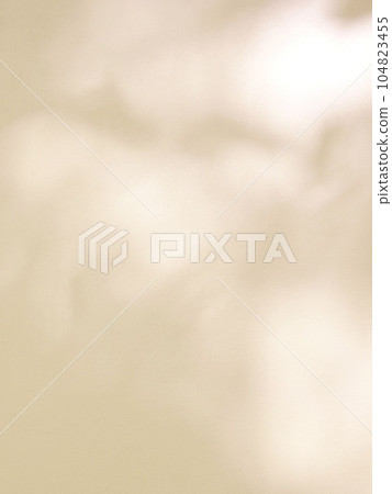 Leaf shadow and light on concrete wall background Leaf shadow and light on concrete wall background 104823455