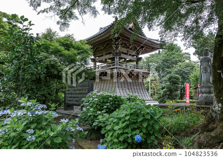The bell tower in the precincts of Takanesan Kanshin-in Daisenji Temple [when the hydrangea blooms] 104823536