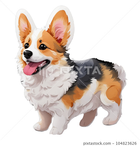 可愛的真實觸摸柯基犬 104823626