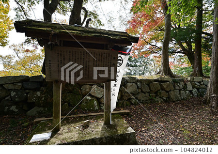 Takatori Castle Ruins in Autumn 104824012