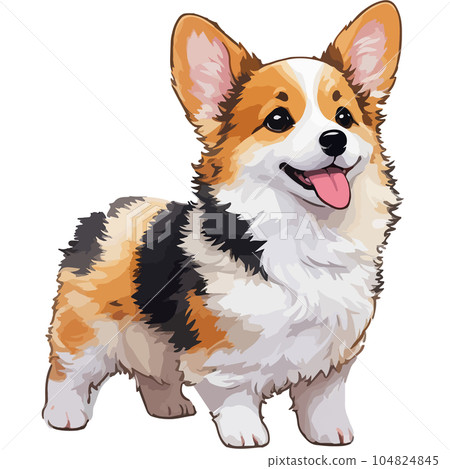 可愛的真實觸摸柯基犬 104824845