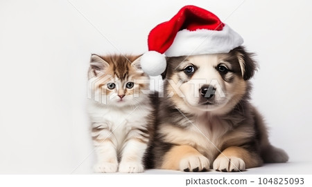 Cute fluffy ginger kitten and puppy in santa claus hat, close-up light background copy space. New Year, holiday concept 104825093