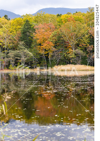 Autumn scenery of Hokkaido Shiretoko Gohu Autumn scenery of Hokkaido Shiretoko Gohu 104825447